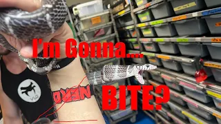 How NOT to get Bitten By A Snake! Read Snakes Like A Pro! Watch til end!