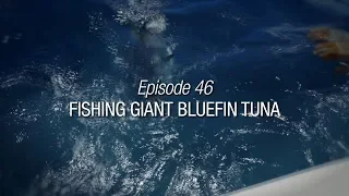 Winded Voyage 3 | Episode 46 | Fishing Giant Bluefin Tuna