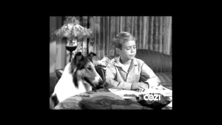 Lassie - Episode #297 - "The Fawn Patrol" - Season 9, Ep. 6 - 11/04/1962