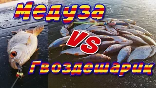 Как ЛОВИТЬ ПЛОТВУ?! Ловля ПЛОТВЫ на БЕЗМОТЫЛКУ! Зимняя Рыбалка 2020 !