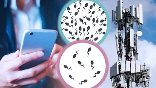 5G и мобильные телефоны снижают количество и качество сперматозоидов