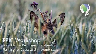 EPIC Workshop: Local Nature Recovery Strategies: Planning for Successful Implementation