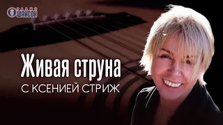 Александр Шевченко в программе ''Живая струна' (радио Шансон) 2019 год