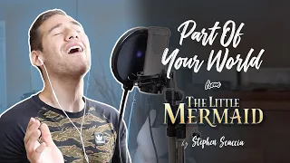 Part Of Your World - The Little Mermaid (cover by Stephen Scaccia)