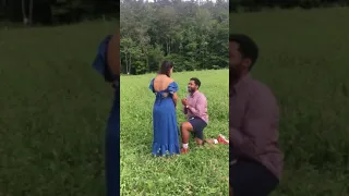 Full Bird Proposal