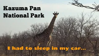 Solo Camping in Lion Territory | Kazuma Pan National Park