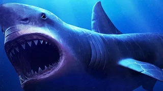 MEGALODON O MAIOR TUBARÃO DO MUNDO!