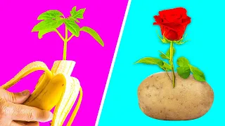 GENIUS GARDENING HACKS || 5-Minute Recipes To Regrow Your Plants!