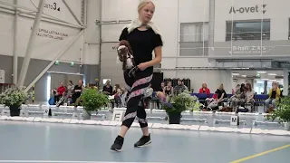 WINNING DRESSAGE ROUND Finnish Hobbyhorse Championships 2019