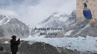 Exploring Everest Base Camp: Scenery, Nature, and Trek Insights