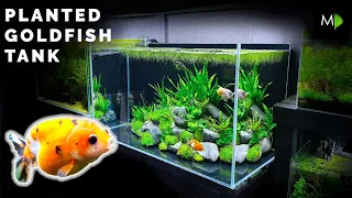 How To: Planted Goldfish Aquarium Tutorial - The Ranchu Crew