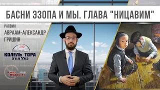 Басни Эзопа и мы. Недельная глава "Ницавим".