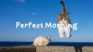 【洋楽playlist】気分を落ち着かせる曲で朝を始めましょう- Perfect Morning