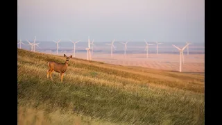 Mainstream Renewable Power Chile