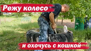 Режу колесо  Охочусь с кошкой