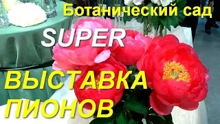 Выставка пионов в Ботаническом саду 2017