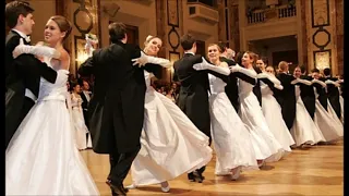 Los mejores Valses de Strauss - Valses de viena - Valses vieneses - Danubio Azul  y otros