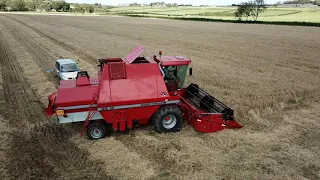 Massey Ferguson 29XP