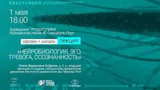 ⚗️ Лекция | Нейробиология, эго, тревога, осознанность