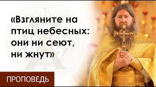 Воскресная проповедь о. Бориса. "Взгляните на птиц небесных: они ни сеют, ни жнут"