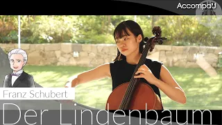 Der Lindenbaum - Cello | F.Schubert【Recital Version】