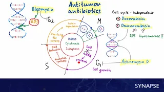 USMLE Step 1 - Anticancer therapy