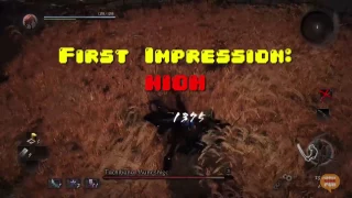 Nioh- First Impressions, Another SOULS GAME!?