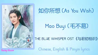 如你所想 (As You Wish) - Mao Buyi (毛不易)《The Blue Whisper 与君初相识》Chi/Eng/Pinyin lyrics