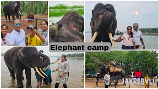 Sakrebyle elephant camp in shimoga 💥🐘