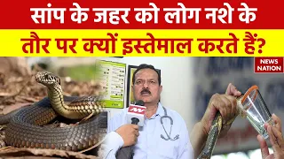 Dr. Ajay Lekhi on Snake Venom: सांप के जहर को लोग नशे के तौर पर क्यों इस्तेमाल करते हैं?