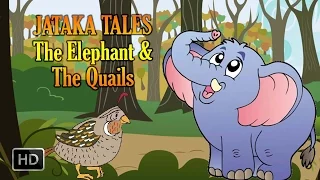 Jataka Tales - The Elephant and The Quails - Short Stories for Children