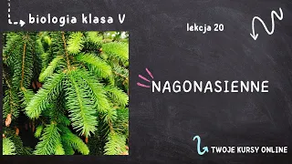 Biologia klasa 5 [Lekcja 20 - Nagonasienne]