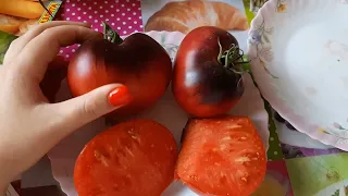 Удивительный томат Черная магия от Сибирского сада.
