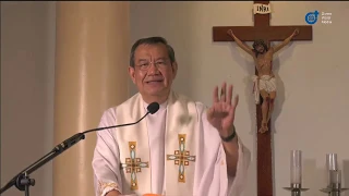 The Sower - Homily By Fr Jerry Orbos SVD - July 12, 2020 15th Sunday in Ordinary Time