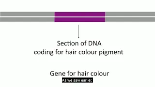 Genes And Chromosome - 5