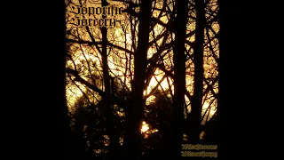 Soporific Sorcery - Mischievous Misanthropy (Album, 2013) (Dark Ambient)