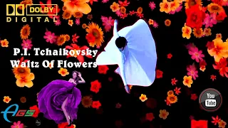 P I  Tchaikovsky ~ Waltz Of Flowers