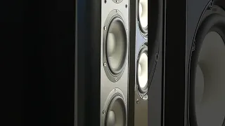 FOCAL floorstanding speaker BASS