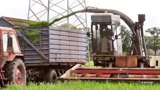 DDR Landmaschinen Fortschritt - Feldhäcksler E 281 C im Einsatz