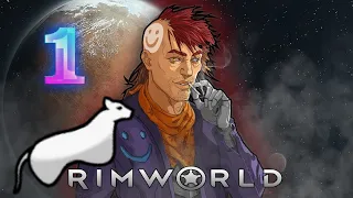 1. Начало Выживания (Rim World)