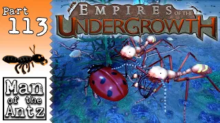 Counterpart Freeplay vs Myself! (But Not Sucking As Much...) | Empires of the Undergrowth - Part 113