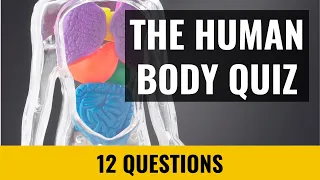 The Human Body Quiz - 12 trivia questions and answers