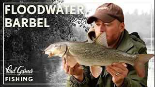 Floodwater Barbel Fishing : River Severn Barbel