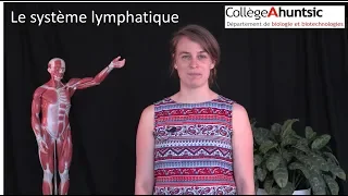 Le système lymphatique