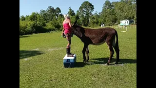 Fancy mounting block moves