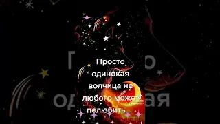 Песня "Одинокая волчица" Александра Добронравова