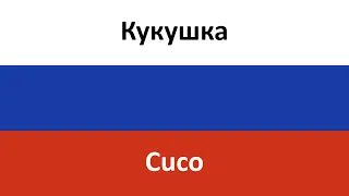 Кукушка en español (Cuco) - KINO