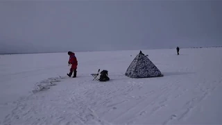 Ловля корюшки на Финском заливе Южная дамба 25.02.18