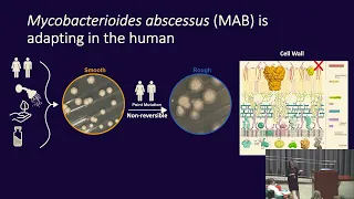 Use of Mycobacterium abscessus as a model system to define the physiology of bacteria during...