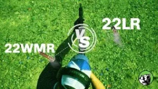 .22 Magnum vs. .22 LR: Which is Better?